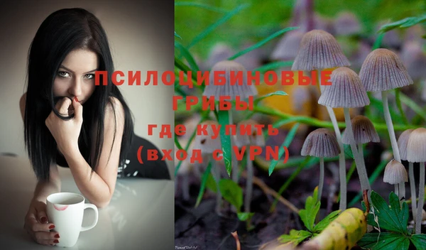 мескалин Алексин